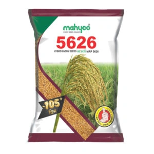Mahyco-5626