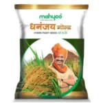 Mahyco-DHANANJAYGOLD