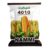 Maize-Nammi-4010