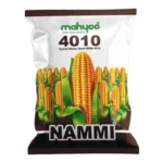 Maize-Nammi-4010