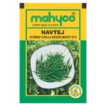 NAVTEJ
