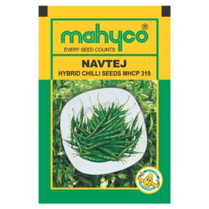 NAVTEJ