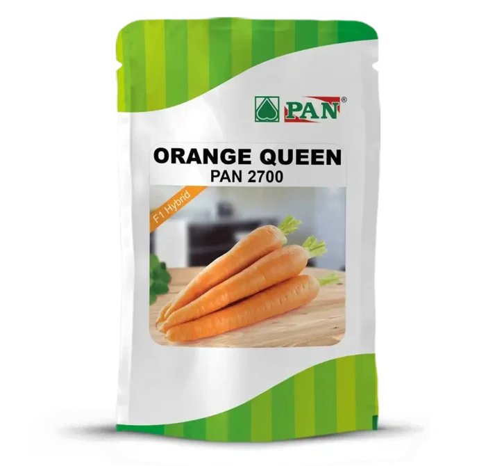 Orange Queen