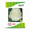 PAN-1008
