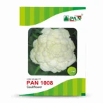 PAN-1008