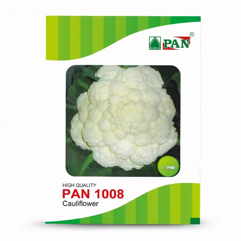 PAN-1008