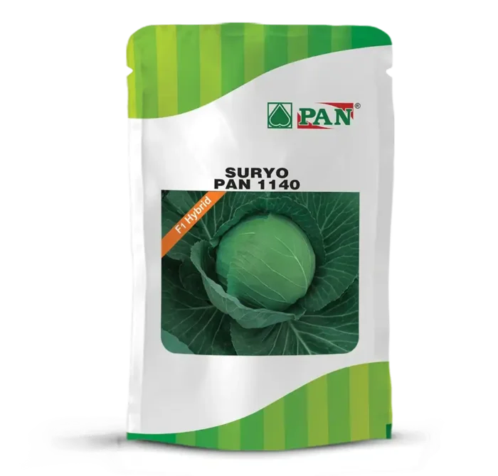 PAN-1140-SURYO