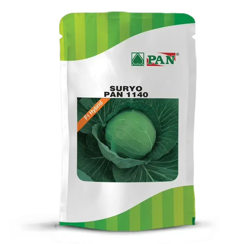 PAN-1140-SURYO
