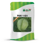 PAN-1181