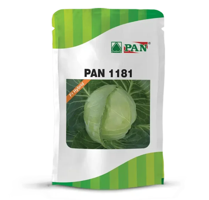 PAN-1181