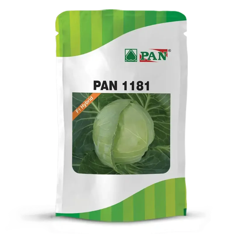 PAN-1181
