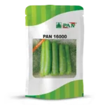 PAN-16000