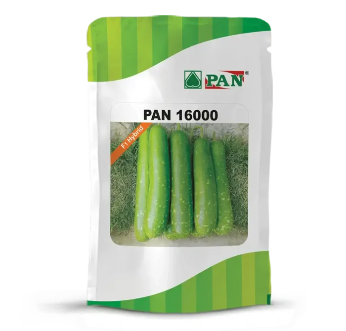 PAN-16000