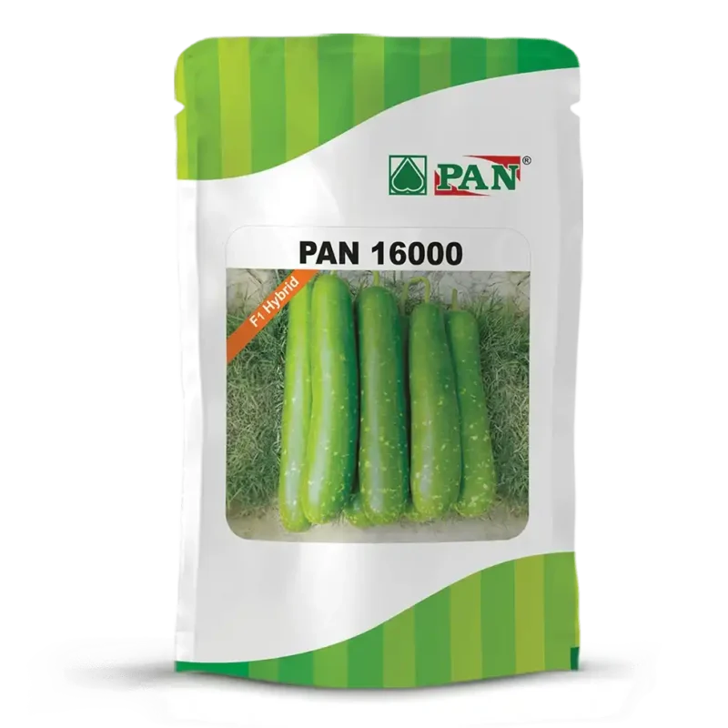 PAN-16000