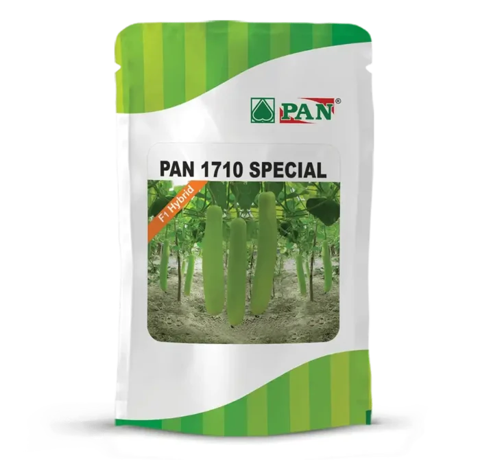PAN-1710-SPECIAL