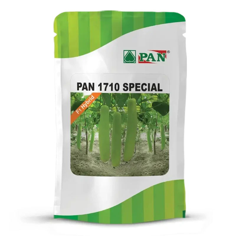 PAN-1710-SPECIAL