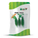 PAN-1931