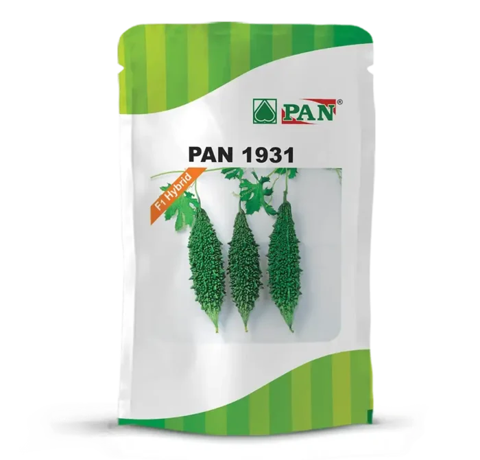PAN-1931