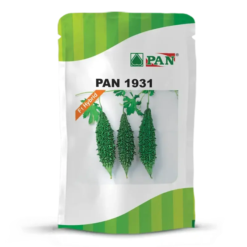 PAN-1931