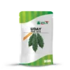 PAN 1975 Uday