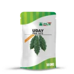 PAN 1975 Uday