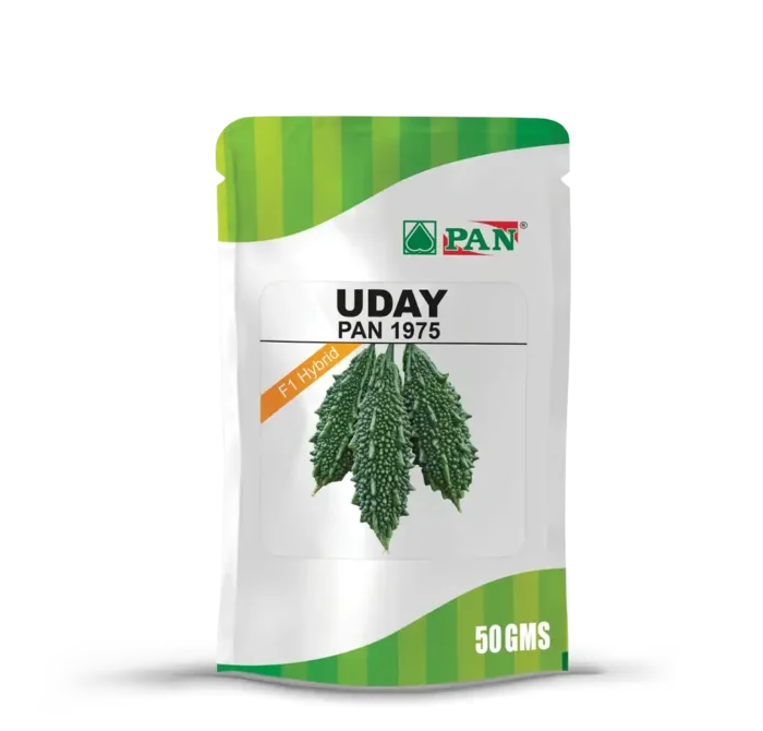 PAN 1975 Uday