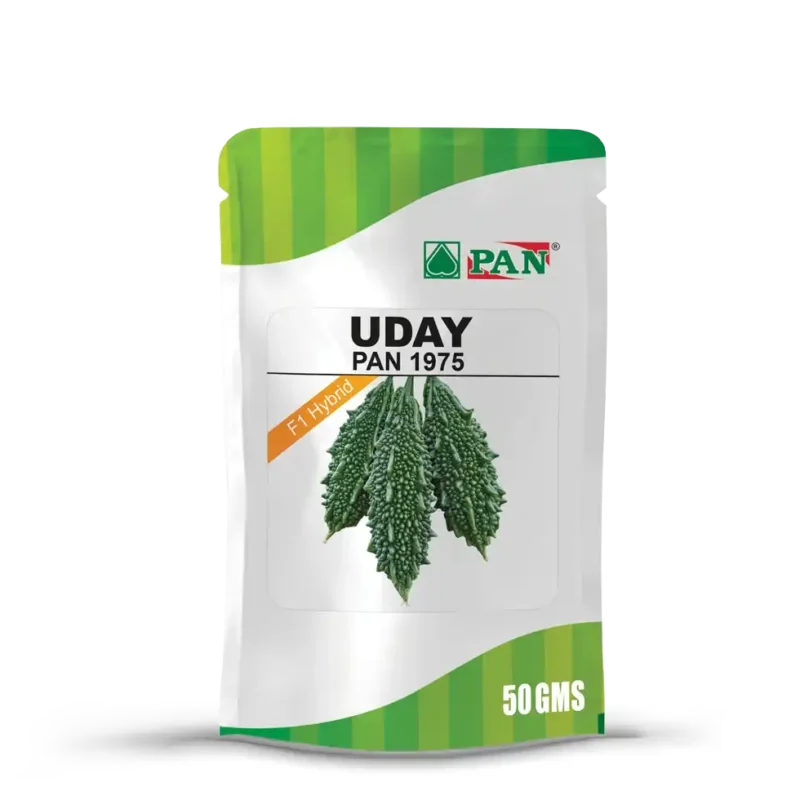 PAN 1975 Uday