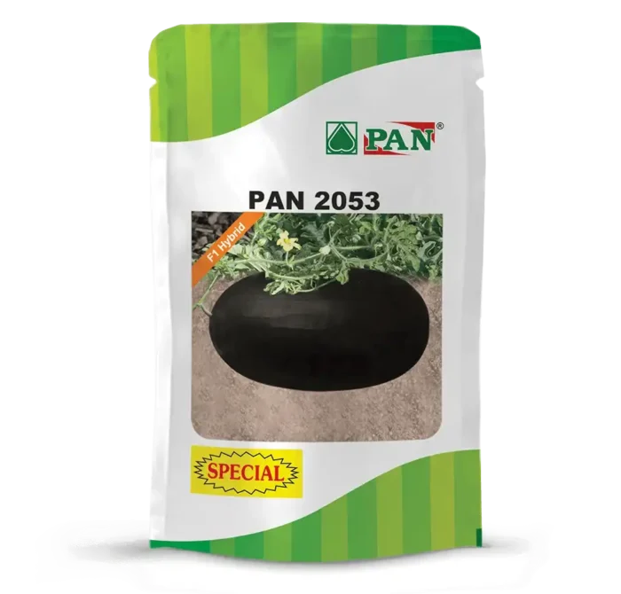 PAN-2053