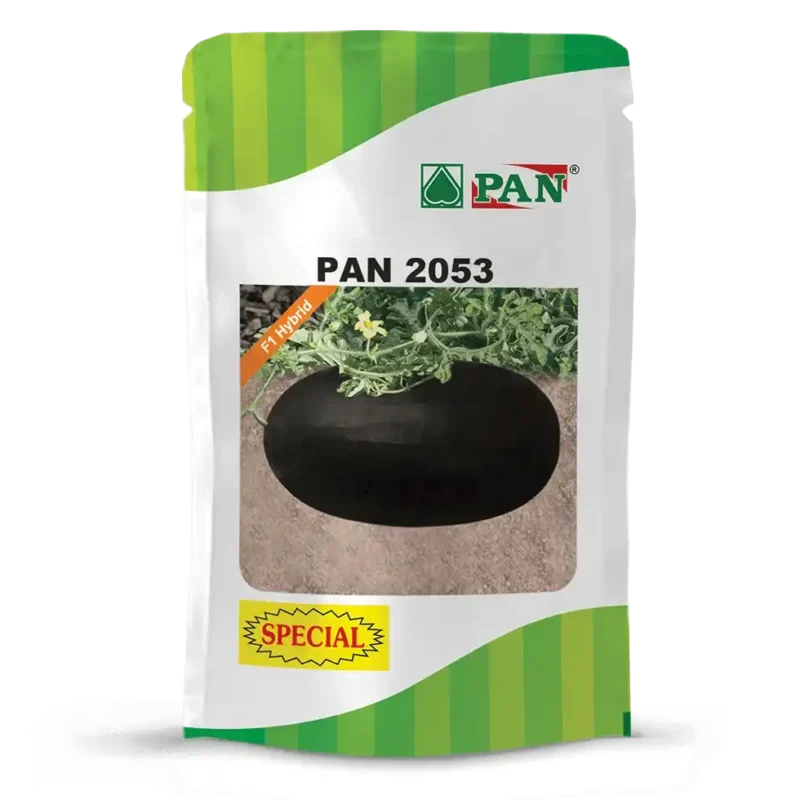 PAN-2053