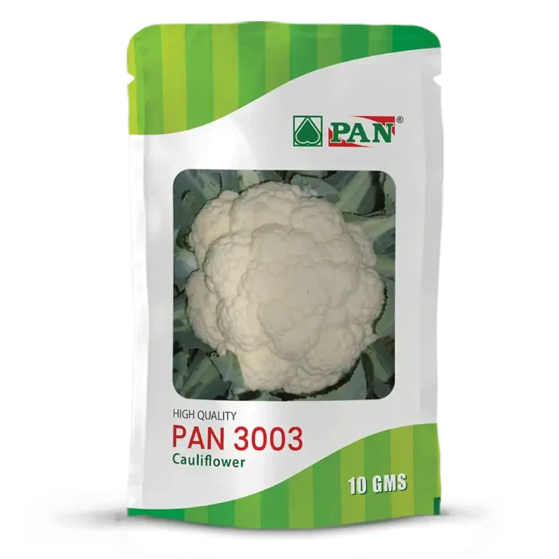 PAN-3003
