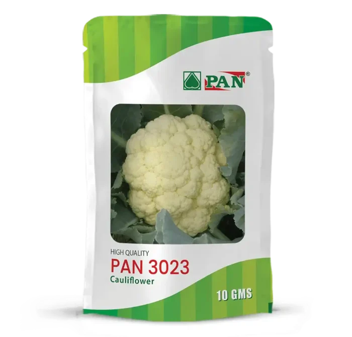 PAN-3023