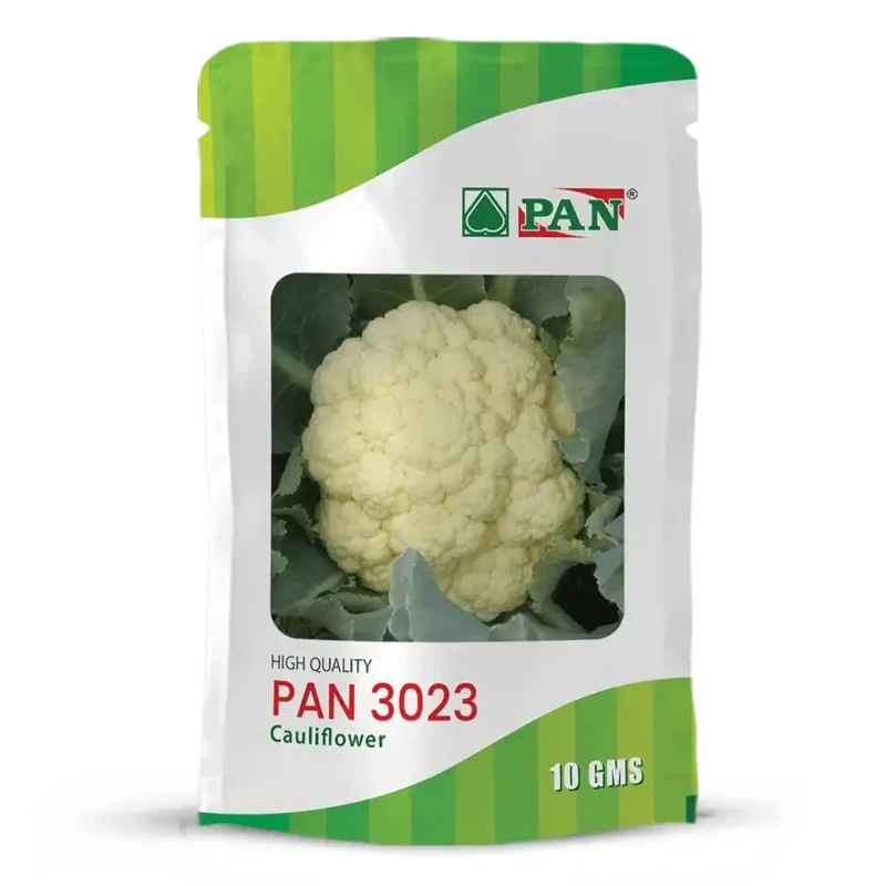 PAN-3023