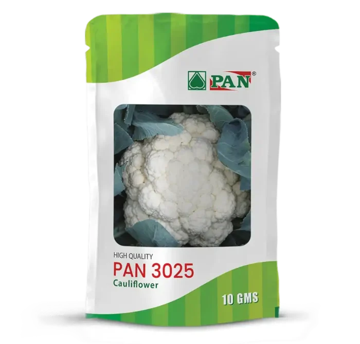 PAN-3025