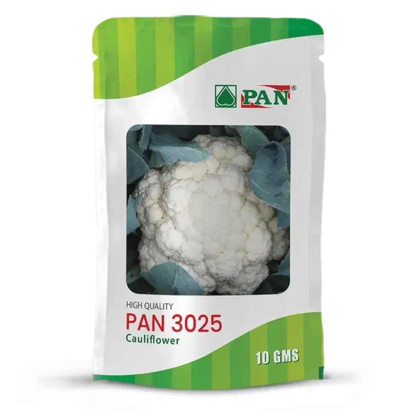 PAN-3025