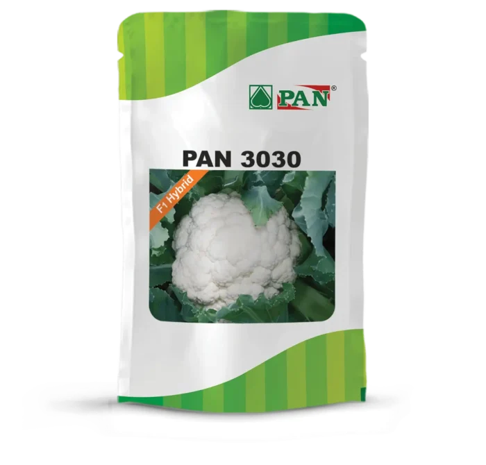 PAN-3030
