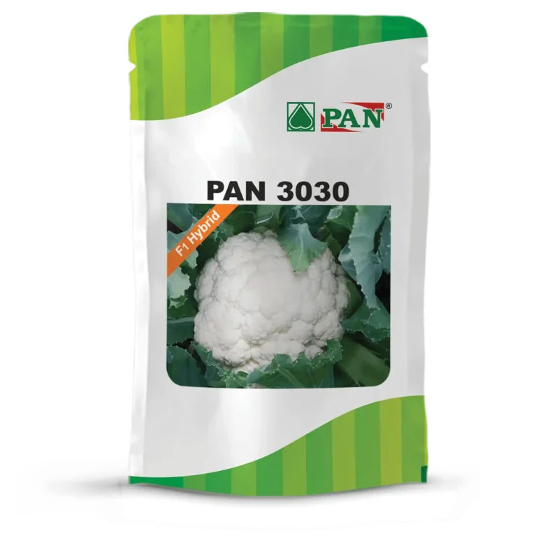 PAN-3030