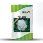 PAN-4352