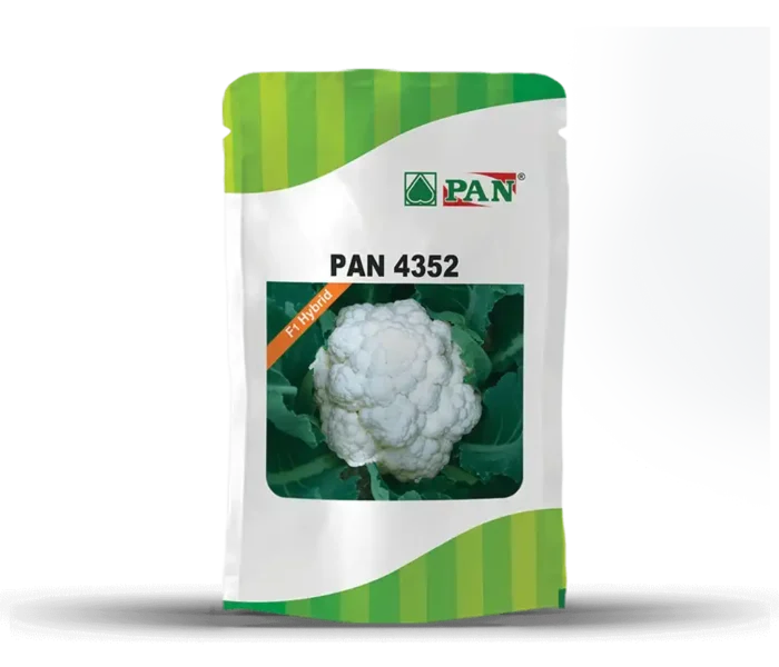 PAN-4352
