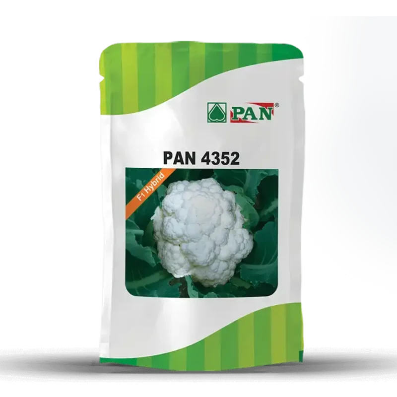 PAN-4352