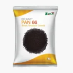 PAN-66