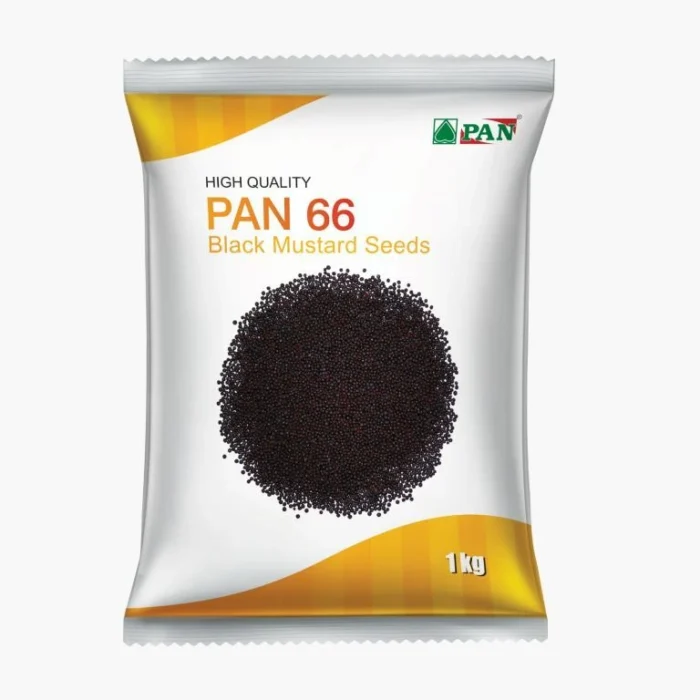 PAN-66