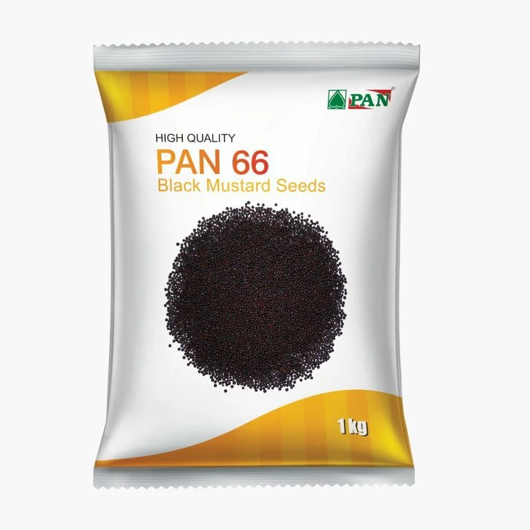PAN-66
