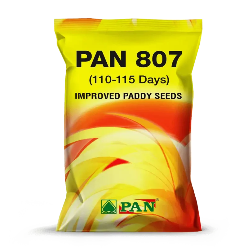 PAN-807