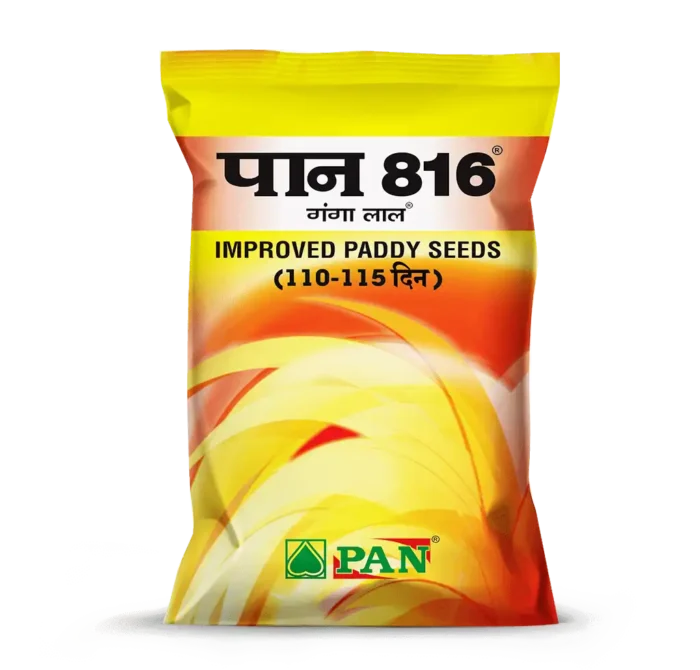 PAN-816
