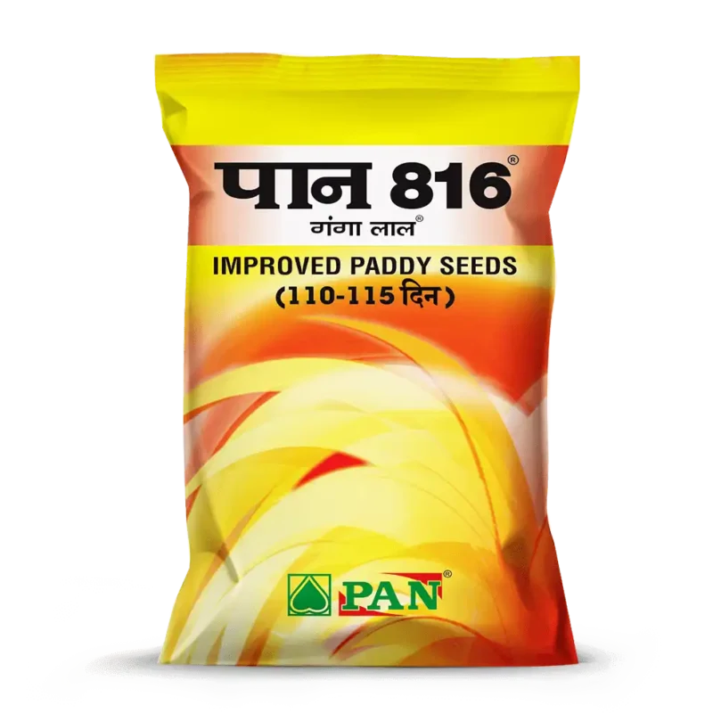 PAN-816