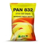 PAN-832