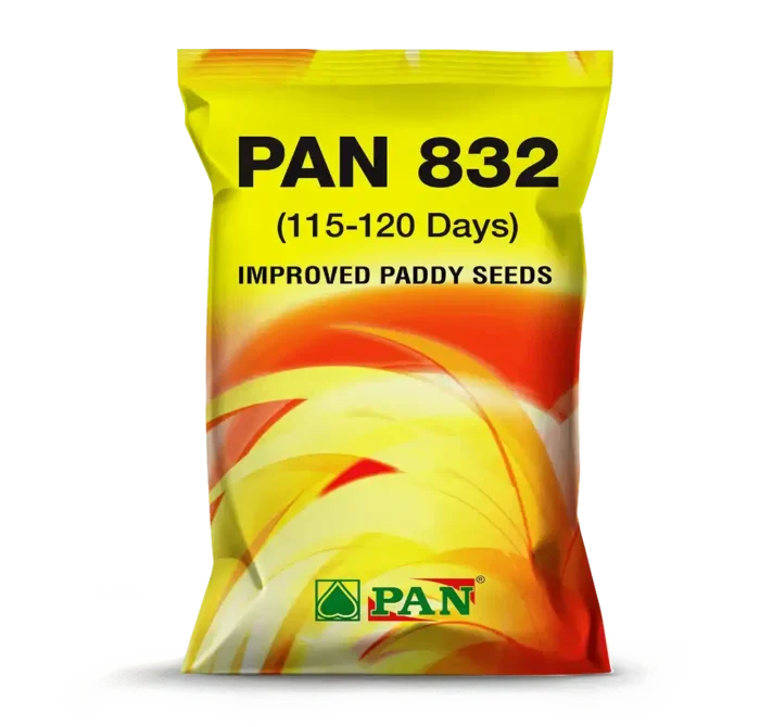 PAN-832