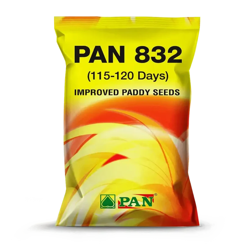 PAN-832