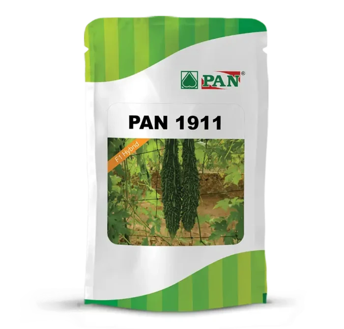 PAN-Bitter-gourd-1911