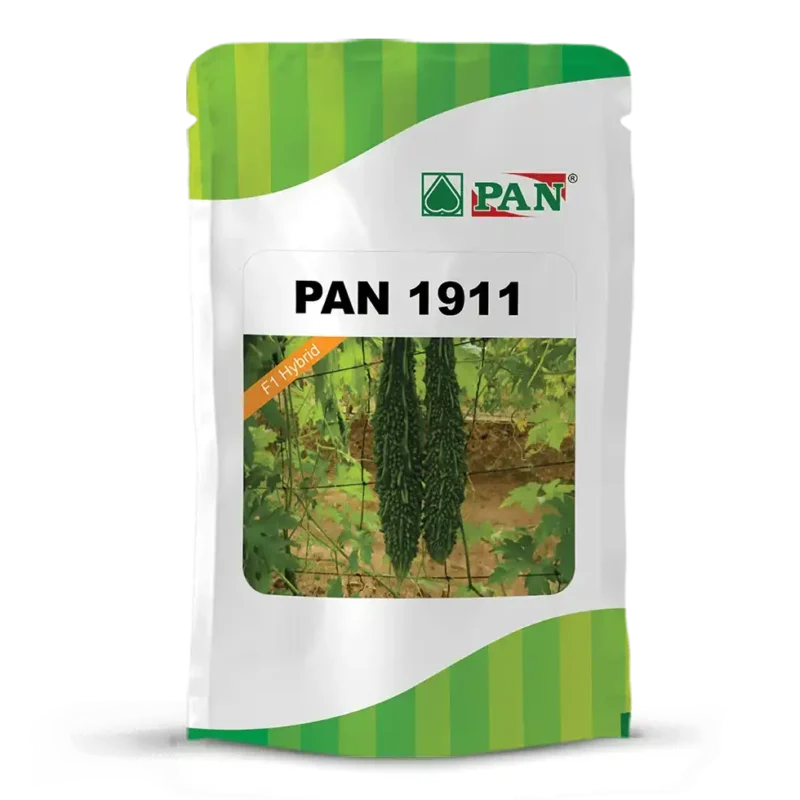 PAN-Bitter-gourd-1911